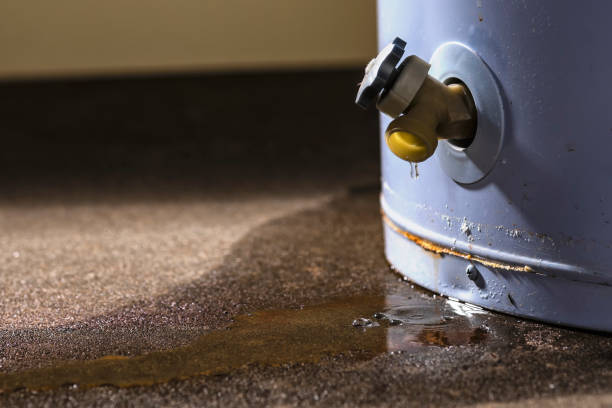 Best Flooded house restoration  in Bal Harbour, FL