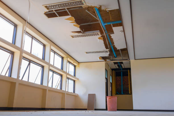 Best Local water damage restoration  in Bal Harbour, FL