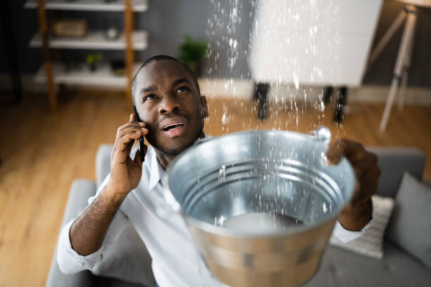 Best 24/7 water damage repair  in Bal Harbour, FL