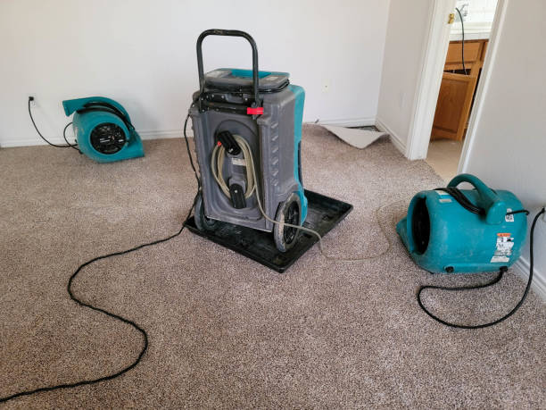Best Fire Damage Restoration  in Bal Harbour, FL
