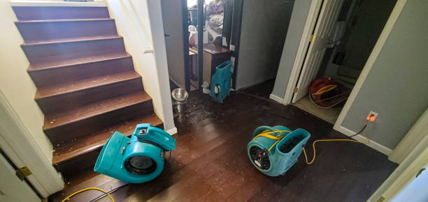 Local water damage restoration in Bal Harbour, FL