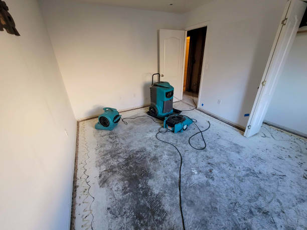 Best Water damage mitigation services  in Bal Harbour, FL
