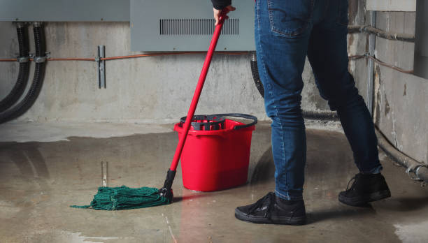 Best Water damage cleanup near me  in Bal Harbour, FL