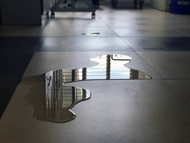 Best Commercial water damage restoration  in Bal Harbour, FL
