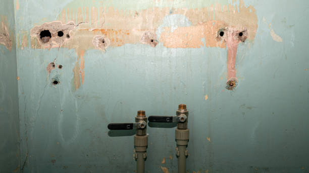 Best Sewage cleanup and water damage restoration  in Bal Harbour, FL