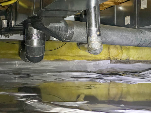 Best Flood restoration services  in Bal Harbour, FL