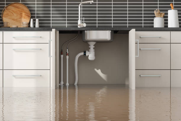 Best Carpet water damage restoration  in Bal Harbour, FL