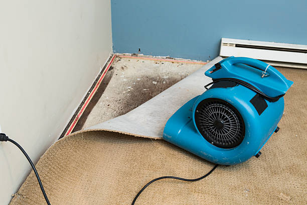 Best Ceiling water damage repair  in Bal Harbour, FL